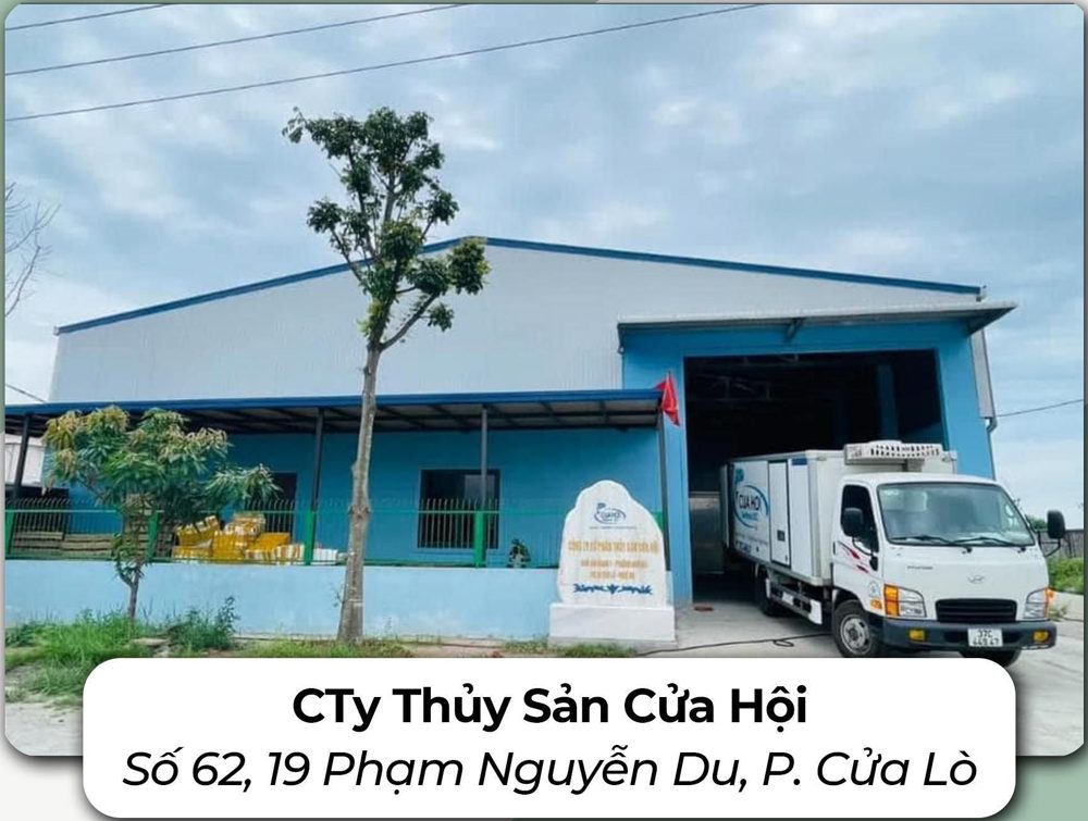 Công ty Thủy sản Cửa Hội – Số 62, 19 Phạm Nguyễn Du, P. Cửa Lò