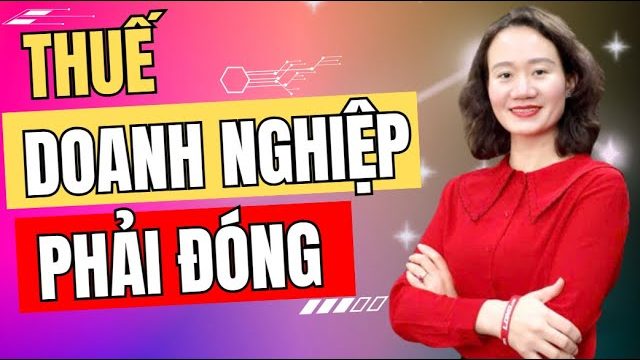 Thảo Nguyễn giải thích: Các loại thuế doanh nghiệp phải đóng